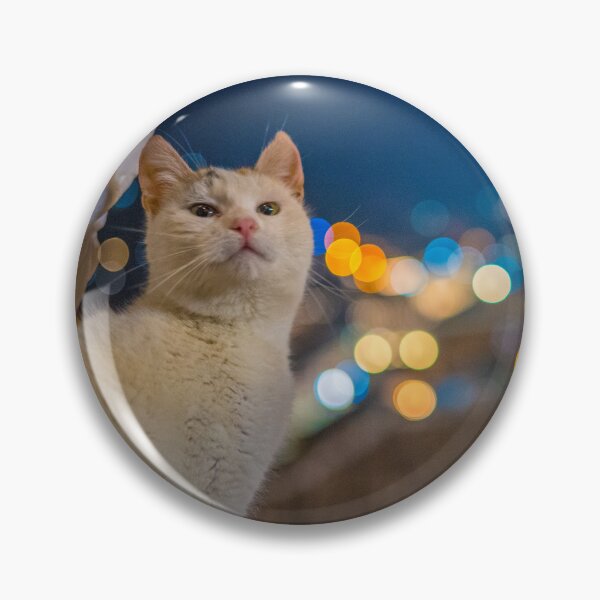 Item preview, weird looking cat in the dark with nice bokeh designed and sold by kristofbellens.