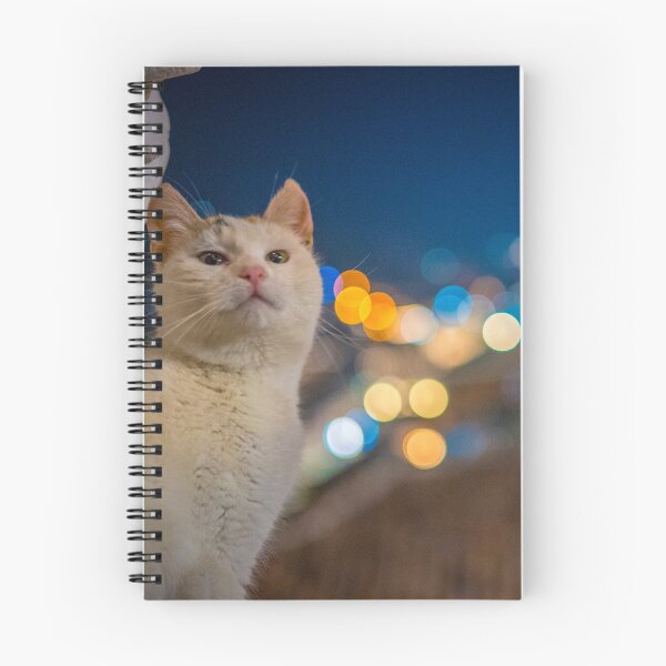 Item preview, weird looking cat in the dark with nice bokeh designed and sold by kristofbellens.