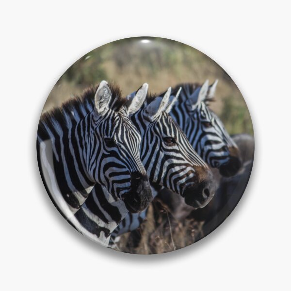 Item preview, Trio of Wild Zebras in the African Bush designed and sold by OlaniPictures.