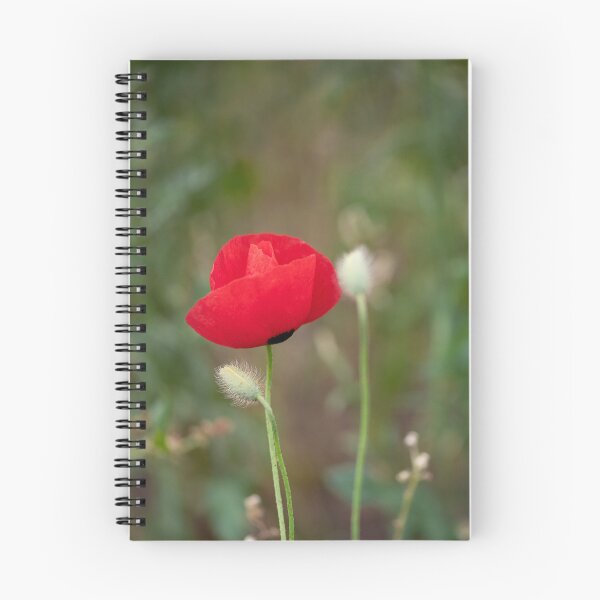 Item preview, Scarlet Remembrance in a Wild Meadow designed and sold by MariaAbaza.