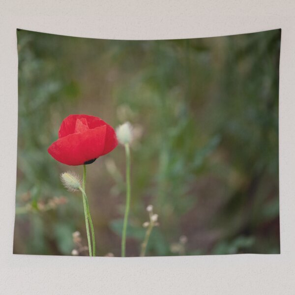 Item preview, Scarlet Remembrance in a Wild Meadow designed and sold by MariaAbaza.