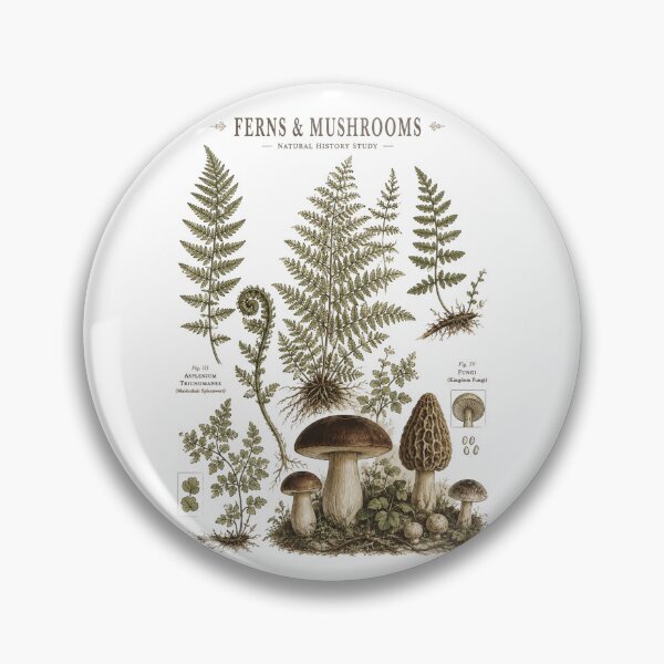 Item preview, Ferns And Mushrooms Vintage Botanical Chart designed and sold by Yellowriversss.