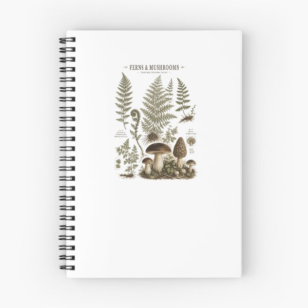 Item preview, Ferns And Mushrooms Vintage Botanical Chart designed and sold by Yellowriversss.