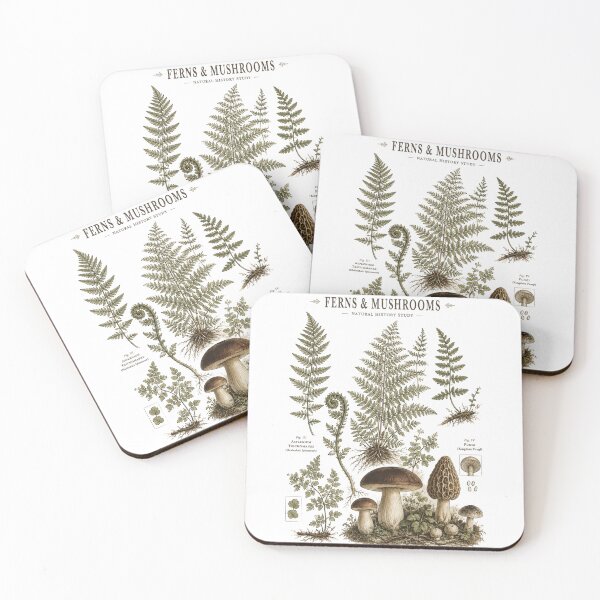 Item preview, Ferns And Mushrooms Vintage Botanical Chart designed and sold by Yellowriversss.