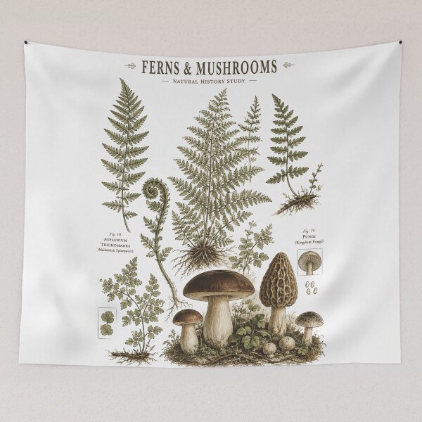 Item preview, Ferns And Mushrooms Vintage Botanical Chart designed and sold by Yellowriversss.