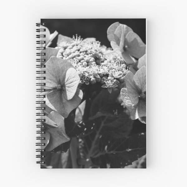 Item preview, Black and White Hortensia designed and sold by Marije Kouyzer.