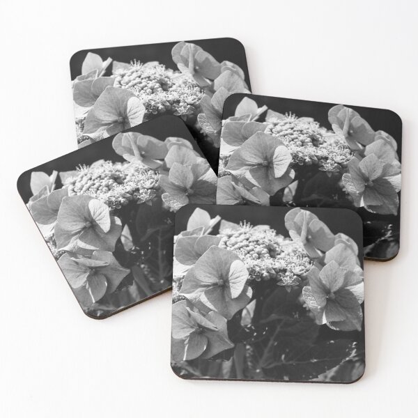 Item preview, Black and White Hortensia designed and sold by Marije Kouyzer.