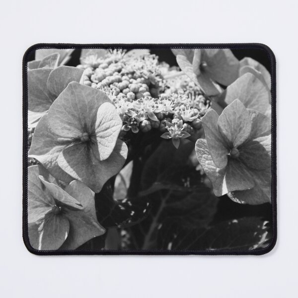 Item preview, Black and White Hortensia designed and sold by Marije Kouyzer.