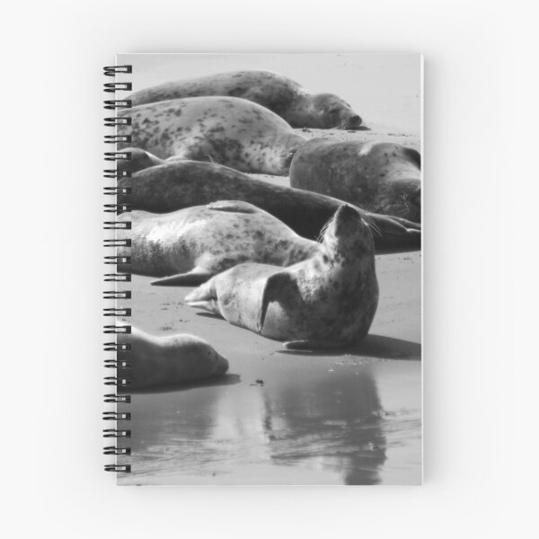 Item preview, Black and White Seal designed and sold by Marije Kouyzer.