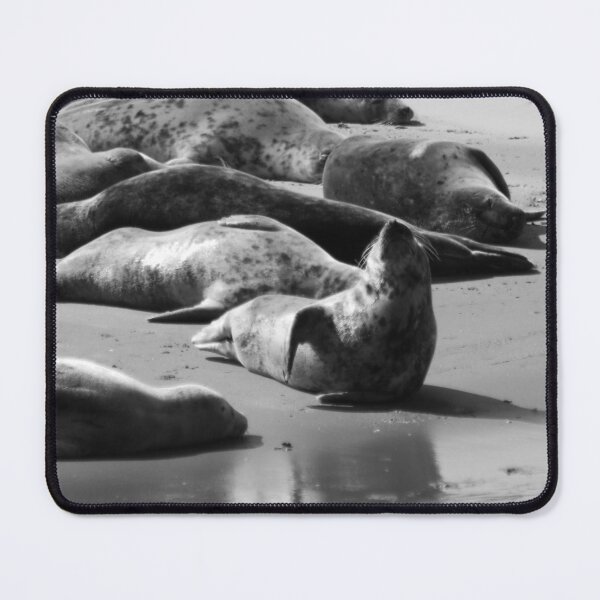 Item preview, Black and White Seal designed and sold by Marije Kouyzer.