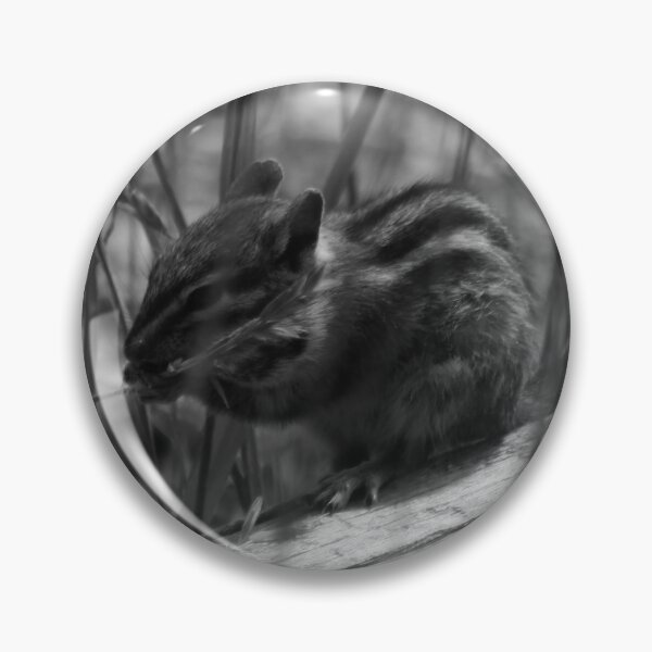Item preview, Black and White Chipmunk designed and sold by Marije Kouyzer.