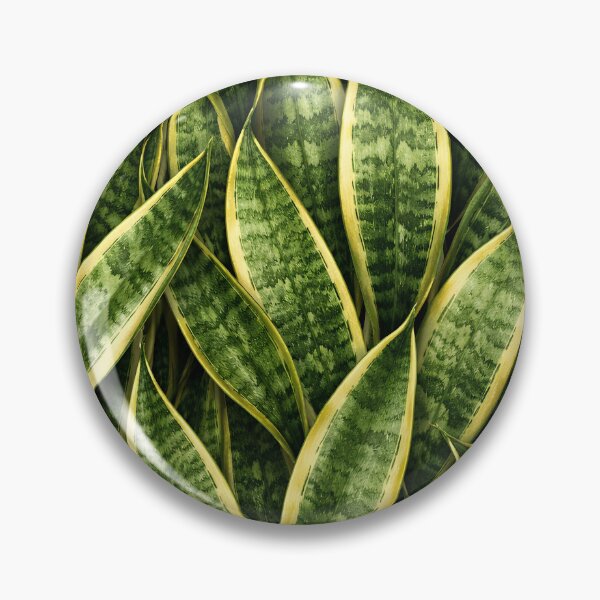 Item preview, Snake Plant Sansevieria Leaf Close-Up Pattern designed and sold by EcologicoolShp.