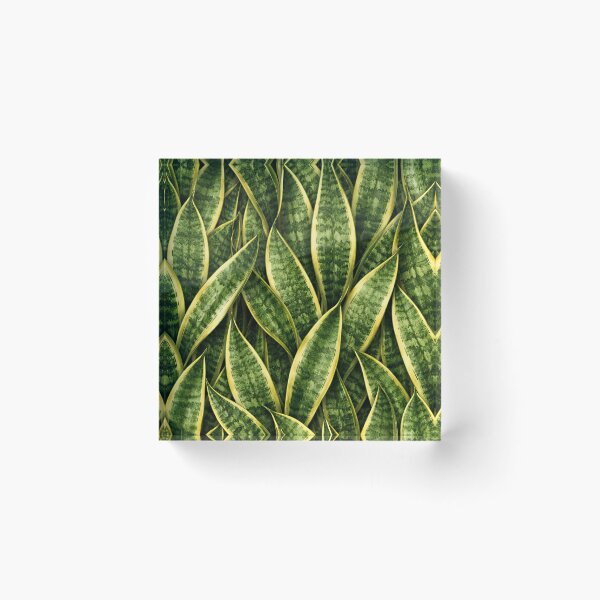 Item preview, Snake Plant Sansevieria Leaf Close-Up Pattern designed and sold by EcologicoolShp.
