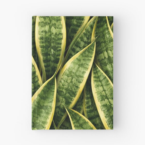 Item preview, Snake Plant Sansevieria Leaf Close-Up Pattern designed and sold by EcologicoolShp.