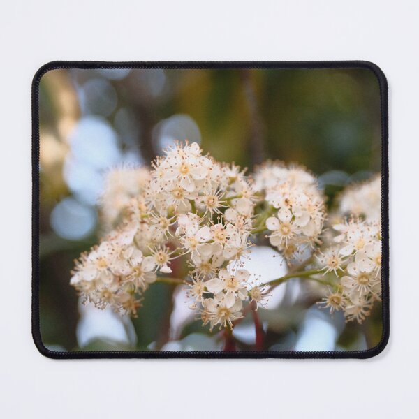 Item preview, Tiny delicate white flowers designed and sold by Stylecontent91.