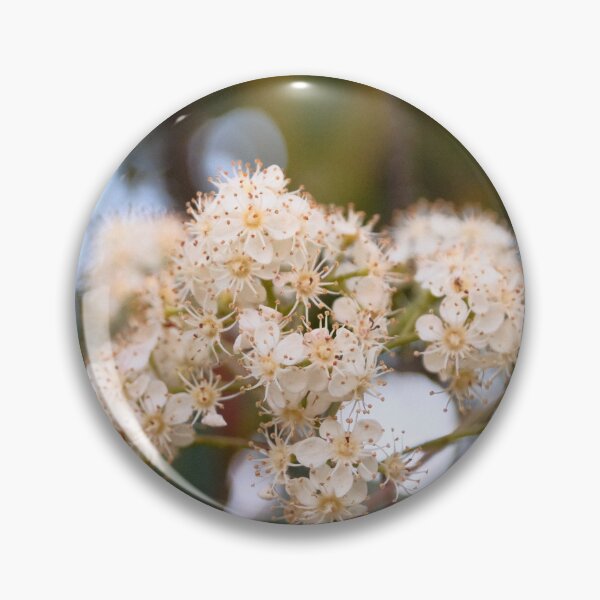 Item preview, Tiny delicate white flowers designed and sold by Stylecontent91.