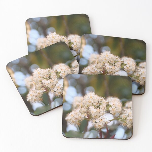 Item preview, Tiny delicate white flowers designed and sold by Stylecontent91.