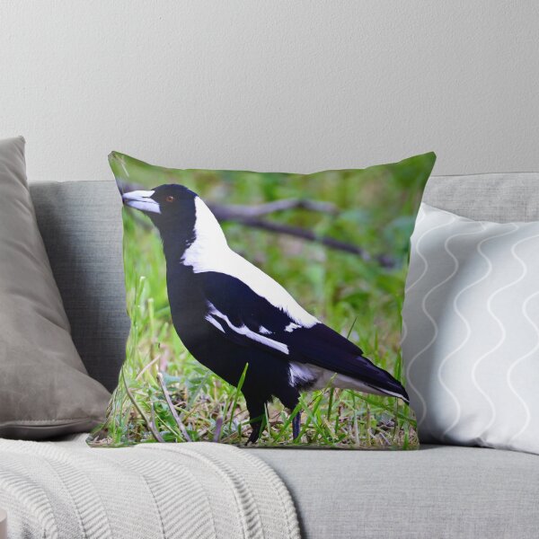 Item preview, Australian Magpie designed and sold by Likoca Photography.