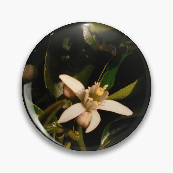 Item preview, Beautiful white flower from citrus tree designed and sold by Stylecontent91.