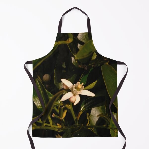 Item preview, Beautiful white flower from citrus tree designed and sold by Stylecontent91.