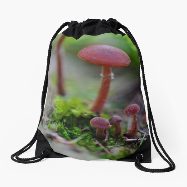 Sort in order of size Drawstring Bag