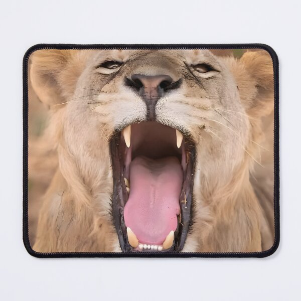 Item preview, AFRICAN LION designed and sold by Joshuasanga76a.