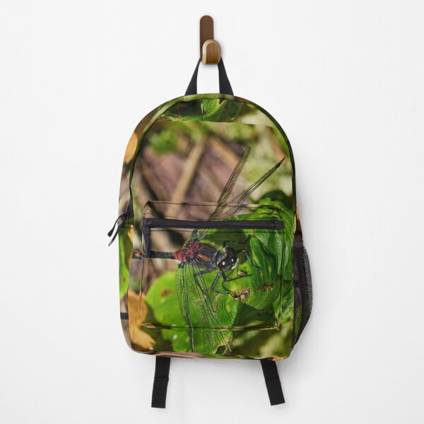 Item preview, Square. White-faced Darter designed and sold by Jouko Lehto Photography.