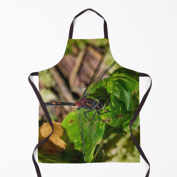 Item preview, Square. White-faced Darter designed and sold by Jouko Lehto Photography.