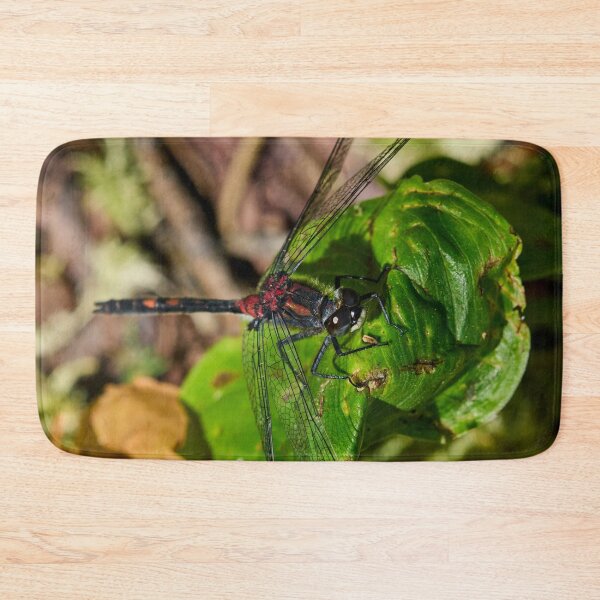 Item preview, Square. White-faced Darter designed and sold by Jouko Lehto Photography.