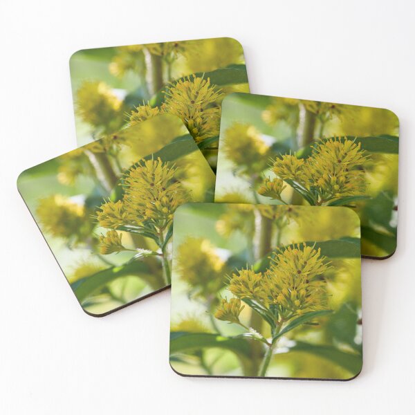 Item preview, Up close. Tufted loosestrife designed and sold by Jouko Lehto Photography.