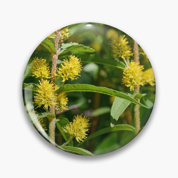 Item preview, Tufted loosestrife jungle designed and sold by Jouko Lehto Photography.
