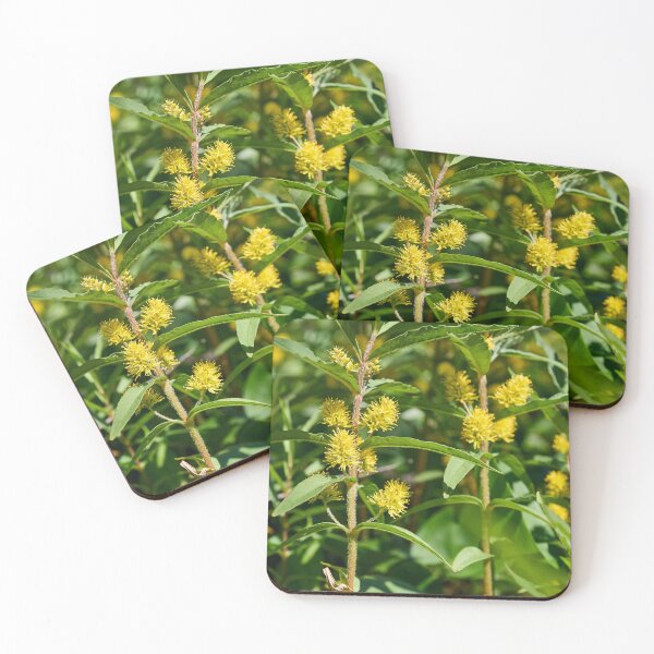 Item preview, Tufted loosestrife jungle designed and sold by Jouko Lehto Photography.