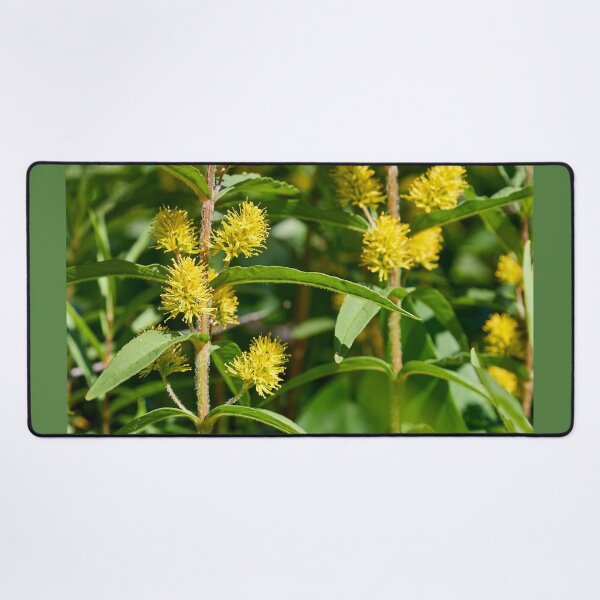 Item preview, Tufted loosestrife jungle designed and sold by Jouko Lehto Photography.