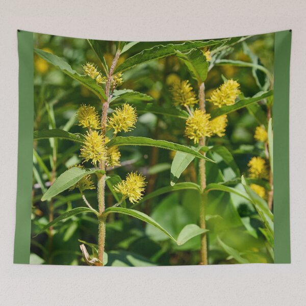 Item preview, Tufted loosestrife jungle designed and sold by Jouko Lehto Photography.