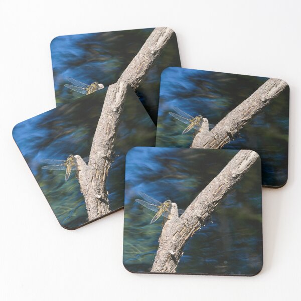 Item preview, The blue stream. Four-spotted Chaser designed and sold by Jouko Lehto Photography.