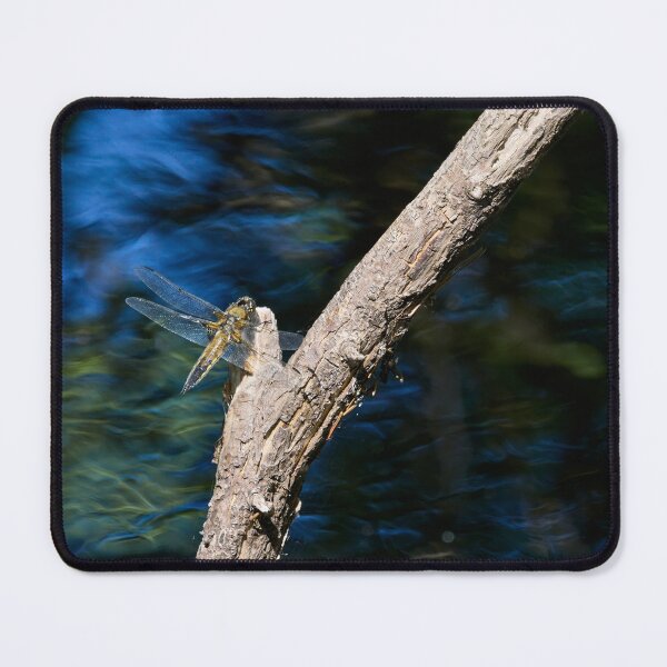 Item preview, The blue stream. Four-spotted Chaser designed and sold by Jouko Lehto Photography.