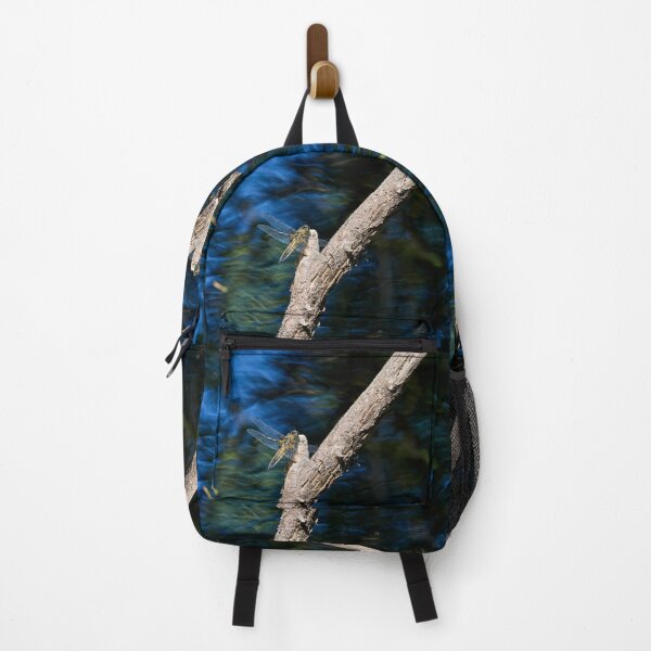 Item preview, The blue stream. Four-spotted Chaser designed and sold by Jouko Lehto Photography.