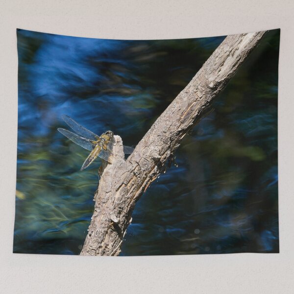 Item preview, The blue stream. Four-spotted Chaser designed and sold by Jouko Lehto Photography.