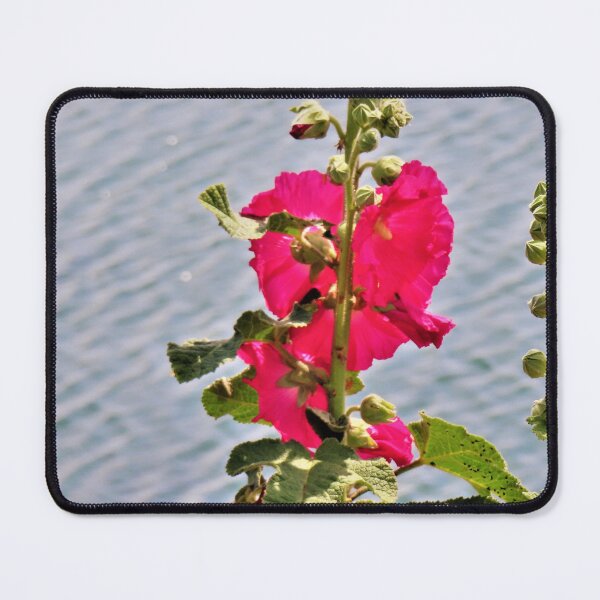 Item preview, Fuchsia rose designed and sold by ART22.