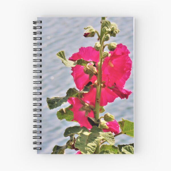 Item preview, Fuchsia rose designed and sold by ART22.