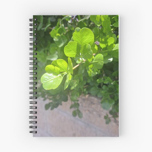 Item preview, A Tad of Greene - Greenery designed and sold by 55synonyms.