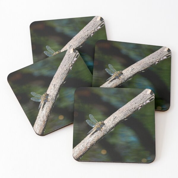 Item preview, Shadows on the river. Four-spotted Chaser designed and sold by Jouko Lehto Photography.