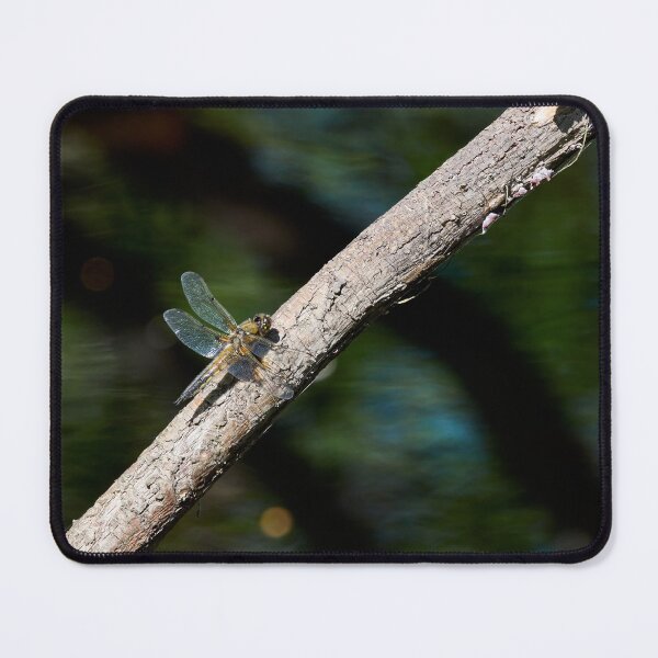 Item preview, Shadows on the river. Four-spotted Chaser designed and sold by Jouko Lehto Photography.