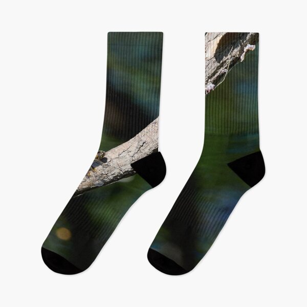 Item preview, Shadows on the river. Four-spotted Chaser designed and sold by Jouko Lehto Photography.
