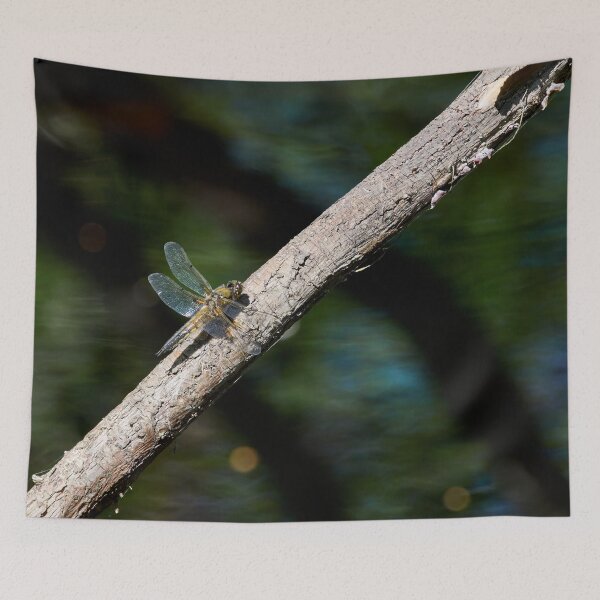 Item preview, Shadows on the river. Four-spotted Chaser designed and sold by Jouko Lehto Photography.