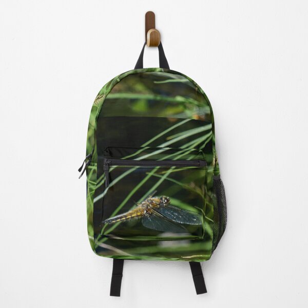 Item preview, Fly. Four-spotted Chaser designed and sold by Jouko Lehto Photography.