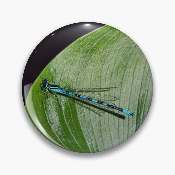 Item preview, Variable. Variable damselfly designed and sold by Jouko Lehto Photography.