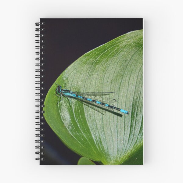 Item preview, Variable. Variable damselfly designed and sold by Jouko Lehto Photography.