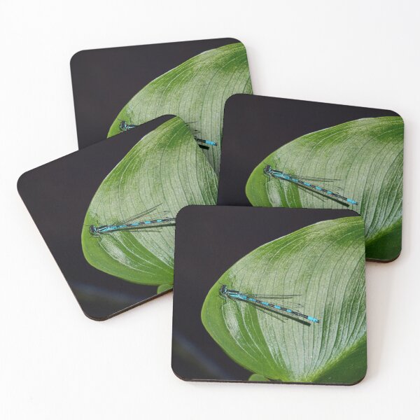 Item preview, Variable. Variable damselfly designed and sold by Jouko Lehto Photography.