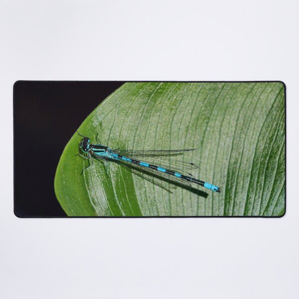 Item preview, Variable. Variable damselfly designed and sold by Jouko Lehto Photography.